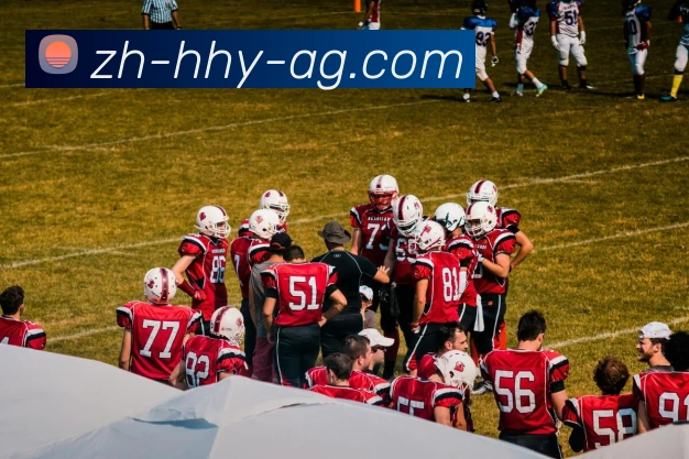 AG娱乐登录平台生态图